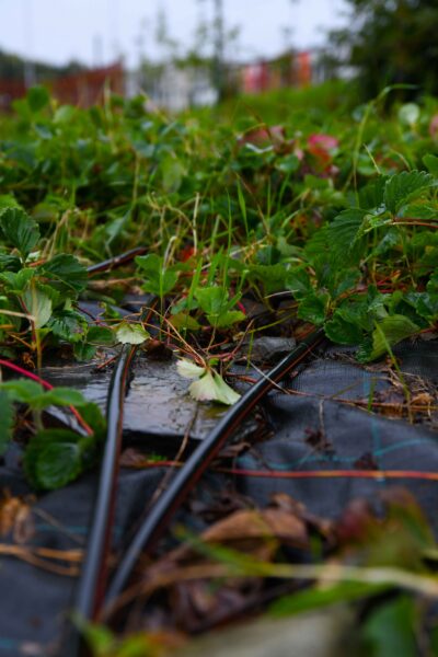 Slider Bild
