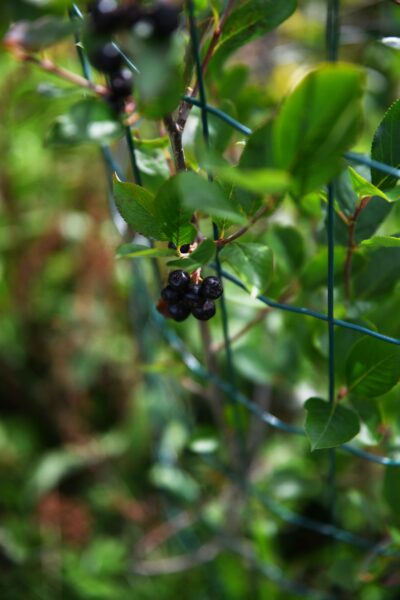 Slider Bild