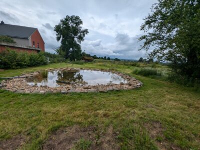 Slider Bild
