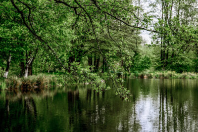 Slider Bild
