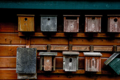 Slider Bild