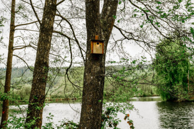 Slider Bild